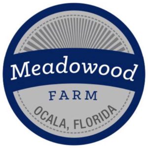 11075155_1559834550935501_6816059283807736428_n